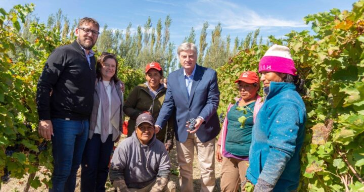 Ziliotto presentó el Programa de Promoción de Inversiones 2023-2028 para Casa de Piedra