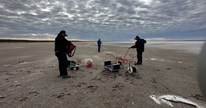 Avanza la exploración de litio en La Pampa