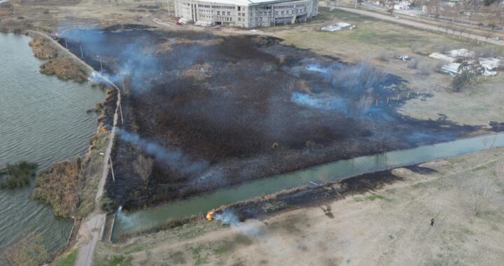 (VIDEOS) Voraz incendio en la Laguna Don Tomás