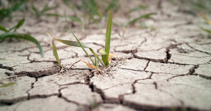 Los desafíos de La Pampa ante el cambio climático