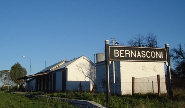 Vecinos alertan envenenamiento masivo de mascotas: “Si lo encontramos se va a arrepentir de haber nacido en este pueblo