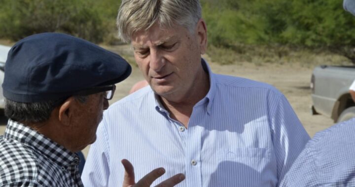 Se giró a diputados el proyecto de Ley que prorroga los remates de campos en el oeste