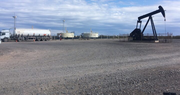 Pampetrol definirá en Asamblea Extraordinaria el llamado a licitación de Medanito Sur