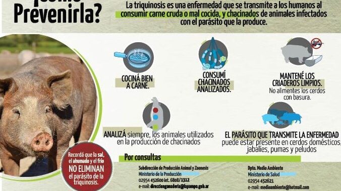 Detectan dos nuevos casos de cerdos con triquinosis