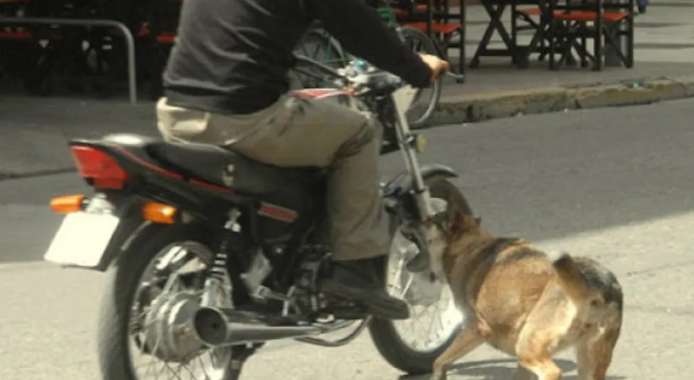 Otro ataque de un perro deja a motociclista con graves heridas