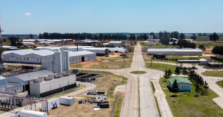 Entraron a robar a un corralón del Para Industrial, el encargado los vio por las cámaras y atraparon a uno; el otro escapó