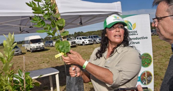 Expo Dinámica 2024: la PyME que puso a La Pampa en el mapa citrícola del país