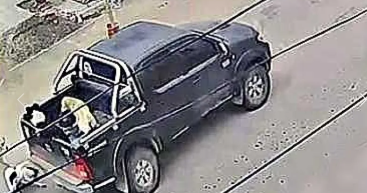 Un conductor atropelló a propósito a un perro y ahora tiene una causa judicial