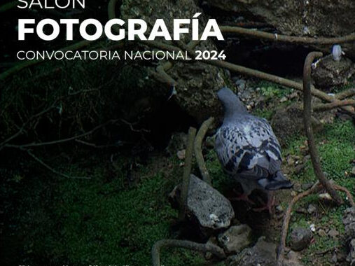 Museo de Artes abre la convocatoria del Salón de Fotografía 2024