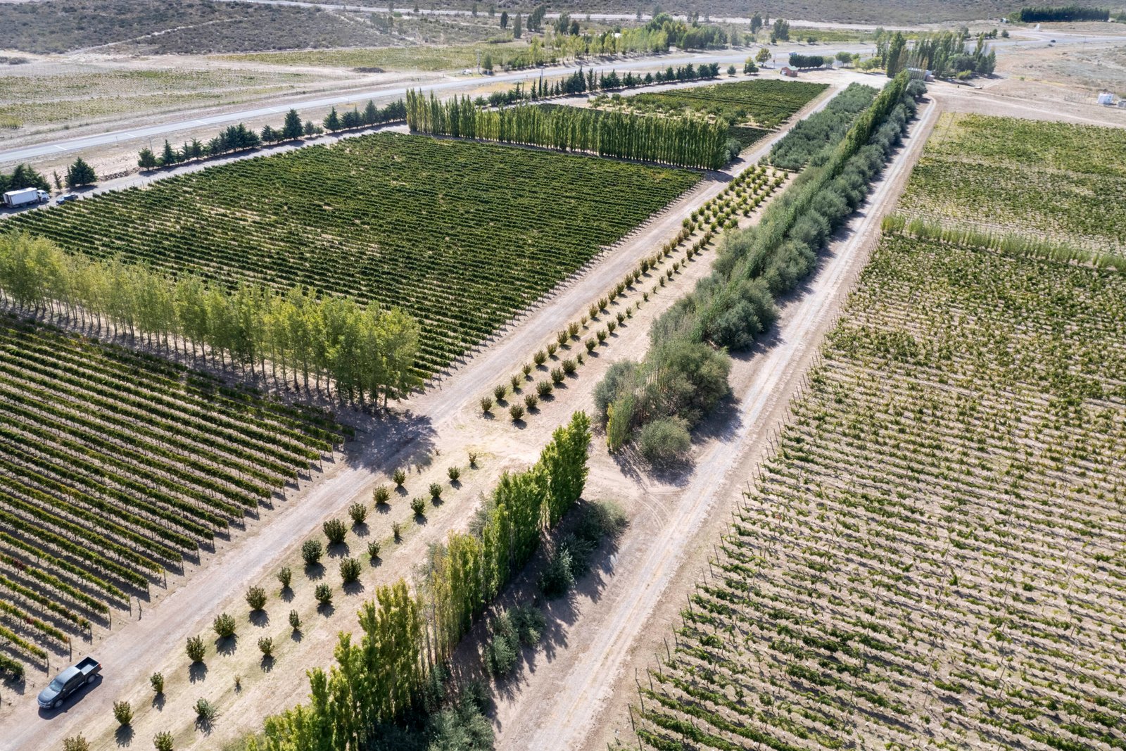 La Pampa amplía el horizonte de producción y sumará 500 hectáreas bajo ...