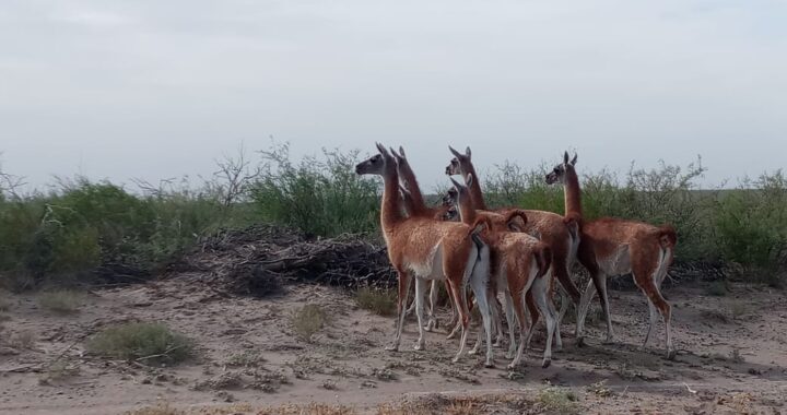 Se conmemora el Día Provincial de las Áreas Protegidas