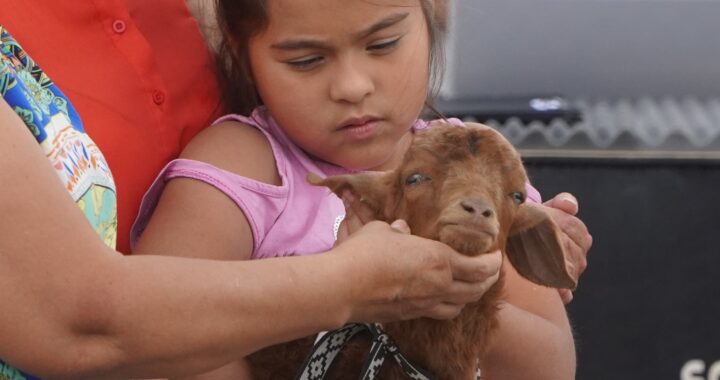 Fiesta del Chivito: Gobierno provincial acompañó el icónico evento oesteño