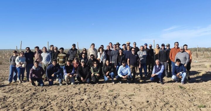 El pistacho en la agenda para seguir diversificando la matriz productiva del oeste pampeano