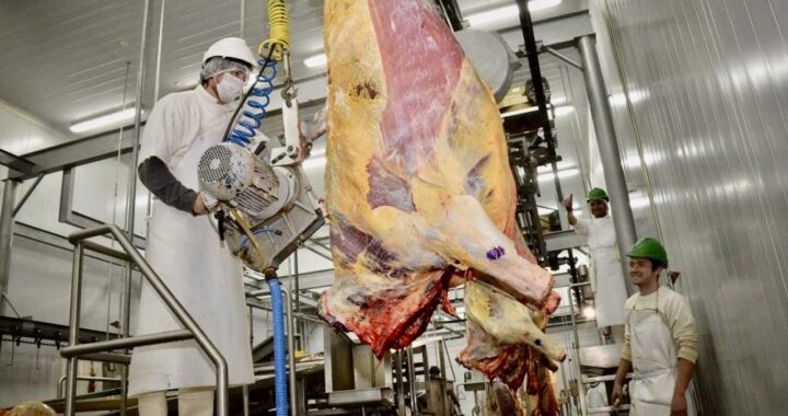 La crisis frigorífica pone en riesgo más de 2.000 empleos en La Pampa