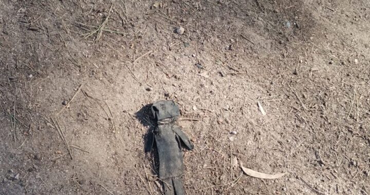 EXTRAÑO EPISODIO EN SANTA ROSA TRAS EL HALLAZGO DE UN MUÑECO DE TELA: “LOS PERROS LO DESENTERRARON Y COMENZARON A GIRAR ENLOQUECIDOS”