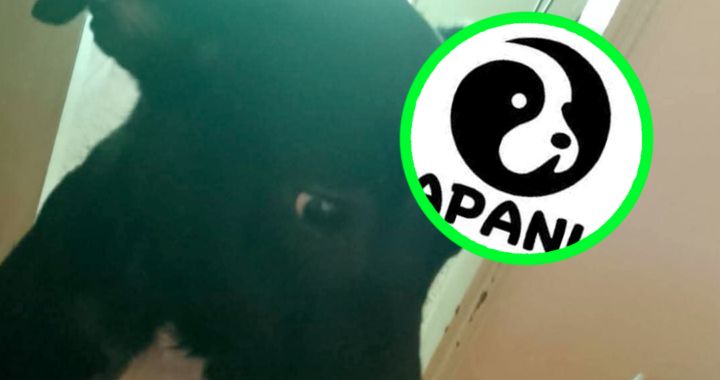 APANI RECHAZÓ LA DONACIÓN DEL ACUSADO POR LA MUERTE DE JUANITO