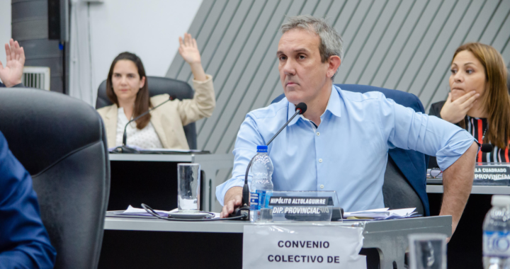 SE APROBÓ LA CONCESIÓN DE“EL MEDANITO” Y EL BLOQUEDE LA UCR QUEDÓ FRACTURADO