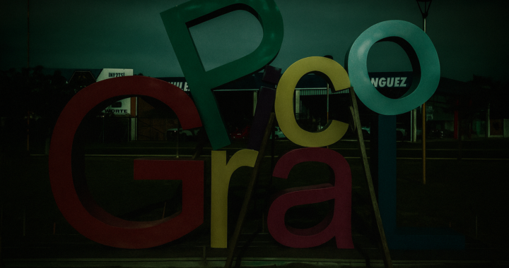 Asesinaron a golpes al caniche de la familia para robar dos televisores