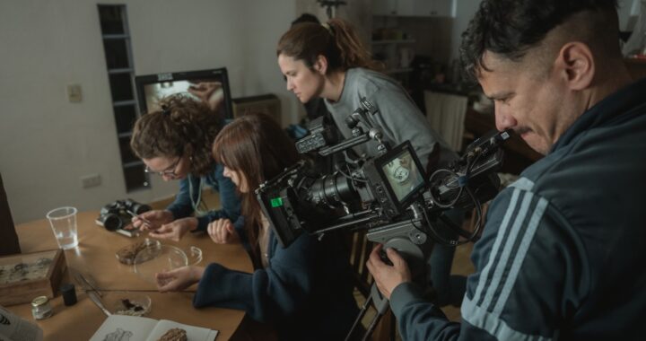 La metamorfosis interior de Morpho Azul