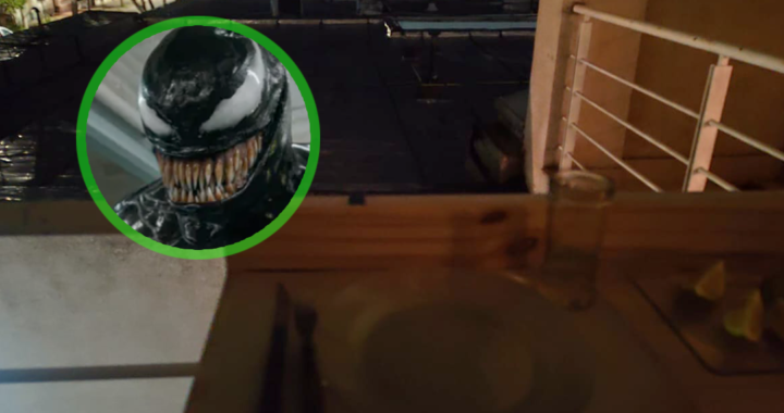 SANTA ROSA: CENABAN EN LA TERRAZA Y LO VIERON A “VENOM”, UN CONOCIDO LADRÓN QUE TIENE COMO MAÑA TREPAR POR LOS BALCÓNES; FUE DETENIDO