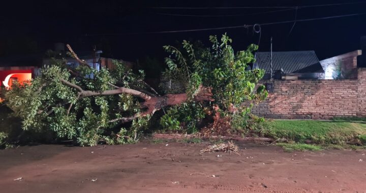 SANTA ROSA: LA TORMENTA VOLTEÓ ÁRBOLES, COLUMNAS Y HASTA CASI VUELA UN TANQUE DE AGUA
