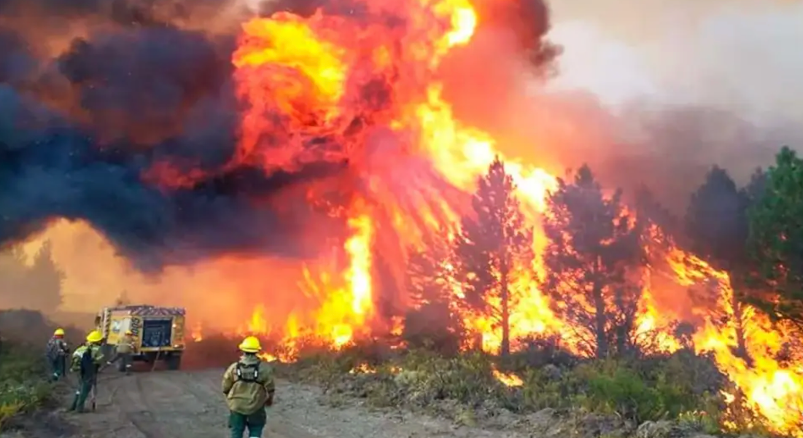 FUEGO SIN CONTROL: LA PAMPA SE SUMA AL PEDIDO DE EMERGENCIA ÍGNEA PARA ...