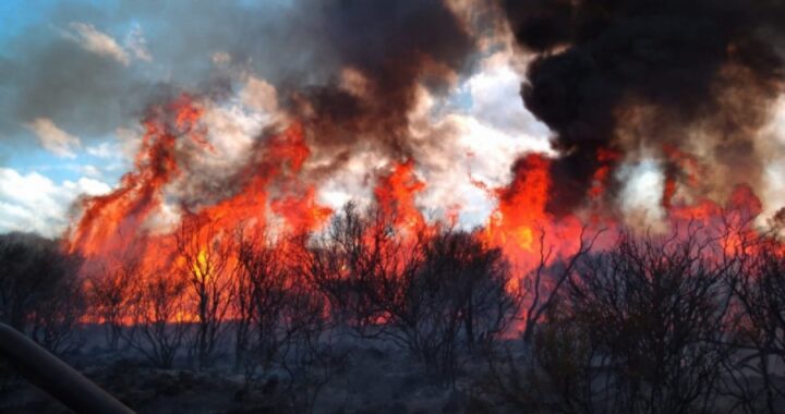 LA PAMPA: DESDE PRODUCCIÓN RECORRIERON CAMPOS AFECTADOS POR LOS INCENDIOS