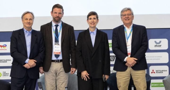La Pampa busca inversiones privadas para generar energía en 13 puntos de la provincia