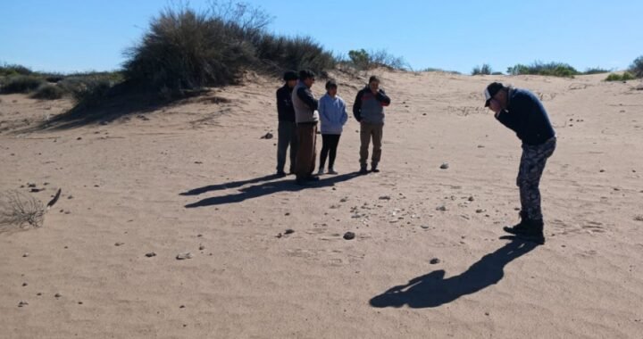 Hallaron restos de un megaterio y piezas arqueológicas en el oeste pampeano